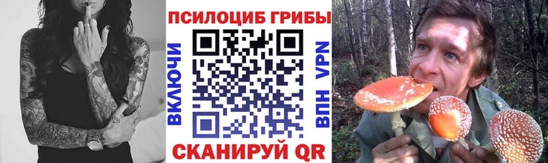 купить  цена  Новотроицк  Псилоцибиновые грибы Cubensis 